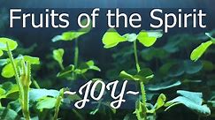 The Fruit of the Spirit is JOY! // 50+ Bible Verses about Joy