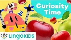 WHERE DO APPLES COME FROM? 🍏🍎 Educational Video for Kids | Lingokids