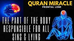 Part Of The Body Responsible For All Sins & Lying: Quran On Frontal Lobe Of Brain