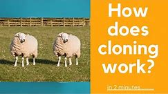 How does cloning work? - explained in 2 mins!