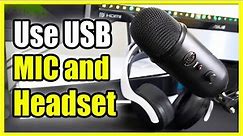 How to USE USB MIC and HEADSET on PS5 at Same time (Livestream Setup)