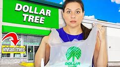 Dollar Tree's Latest Finds: My $1.25 Haul of NEW Products