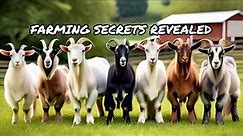 Discovering the Top 10 Goat Breeds: Characteristics, Care, and Farming Tips