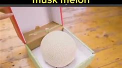 Japanese musk melon #highlightseveryone #highlights #muskmelon #reelitfeelit #reelsfyp #adsonreels | Ka-Laon