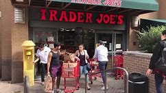Trader Joe's basil, Ford Broncos, Toyota Prius cars & other new recalls