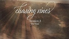 Beth Moore - Chasing Vines Session 3