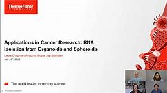 RNA Extraction from Organoids and Spheroids