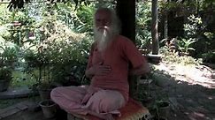 Swami Jnanananda Giri: Listen to the Trees