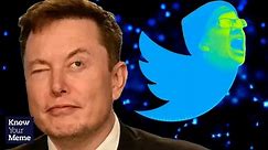 Twitter Melts Down After Elon Musk Purchase