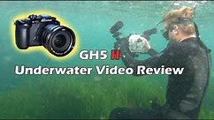 Panasonic GH5 II Underwater Video Review! (With Under Water Shots Filmed In La Jolla, California!)