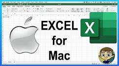 Beginner's Guide to Excel for Mac