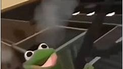 frog dancing with gun meme template #memetemplate