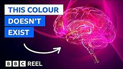 Magenta: The colour that doesn't exist – BBC REEL