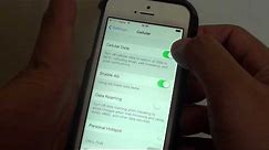 iPhone 5S: How to Enable/Disable Celluar Data