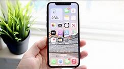 iPhone 11 Pro In LATE 2023! (Review)