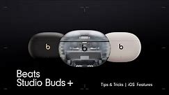 Beats Studio Buds + Tips and Tricks for iOS | Beats by Dre
