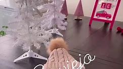 Friends! I just made the cutest thing with items purchased from dollar tree and a hat with a hole in it!! Omg run to your nearest dollar tree & get this stuff to make this! #fypシ゚viralシ #dollartree #dollartreedecor #dollartreechristmasdecor #dollartreefinds #unboxing #fb #steviejo | Stevie Jo Collins