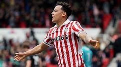 Pete Smith's Stoke City player ratings vs Bristol City as Million Manhoef leads 4-0 rout - Peter Smith - Stoke-on-Trent Live
