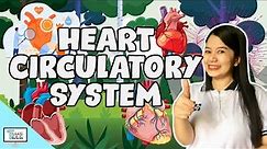 Heart | The Circulatory System | Biology