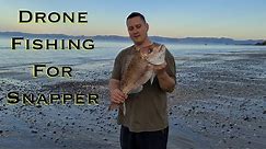 Drone Fishing For Snapper Kawakawa Bay Auckland NZ