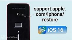 iOS 16-iPhone stuck on support.apple.com/iphone/restore [Newest]
