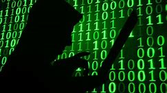 Cyber war: Sabotaging the system