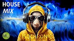 Peak Focus for Complex Tasks House Study Music (Aardvark Mix) with Isochronic Tones
