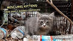 Rescuing two ~*SPICY*~ kittens from trash mountain | Fortheloveofkittenrescue
