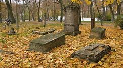 Stare cmentarze w rejonie Kozienic. Cmentarz rodziny Dehnów i cmentarz wojenny Molendy. Zobacz zdjęcia