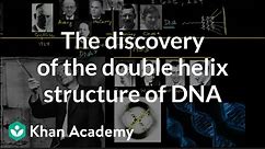 The discovery of the double helix structure of DNA