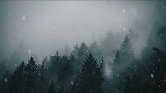 winter forest snow 4k live wallpaper