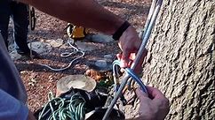 Tree Climbing Knots - Blake's Hitch on a Split Tail