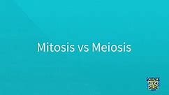 Mitosis vs Meiosis SUPER SIMPLE