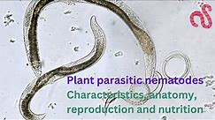 Plant Parasitic Nematodes Morphology, Anatomy, Reproduction and Life cycle