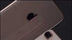 iPhone 8 - Reveal
