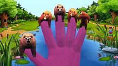 Finger Family With Lion Tiger Gorilla Cheetah Bear || Wild Animals Finger Family Nursery R