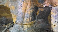 Intact fossilized tree found in an abandoned mine #nature #fossil #abandoned | Underground Birmingham