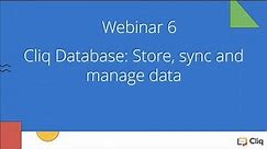 Cliq Databases: Store, sync and manage data using Cliq Storage