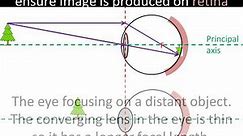 The eye and corrective lenses