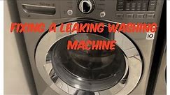 #30 LG washing machine leaking water