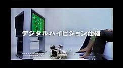 【懐かしいCM】WEGA（ベガ） ソニー SONY テレビ 2000年 Retro Japanese Commercials