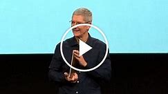Apple CEO Tim Cook comes out as gay