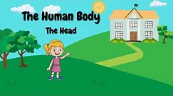The Human Body: Head | Parts of the Body | English | ELL | Children | Pre-K | Kindergarten | First