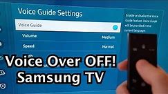 How to Turn Off Voice Guide on Samsung Smart TV!
