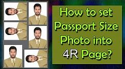 How to Set Passport Size Photo into 4R Page?