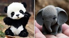 These Cute Baby Animals Will Make You Go Aww