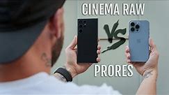 Galaxy S22 Ultra vs iPhone 13 Pro - BEST Cinematic Video?