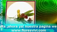 Arreglos Florales, http://www.floresvivi.com,