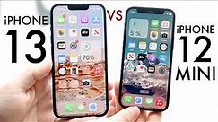 iPhone 13 Vs iPhone 12 Mini! (Comparison) (Review)