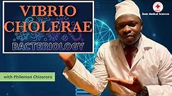 Vibrio cholerae (updated)